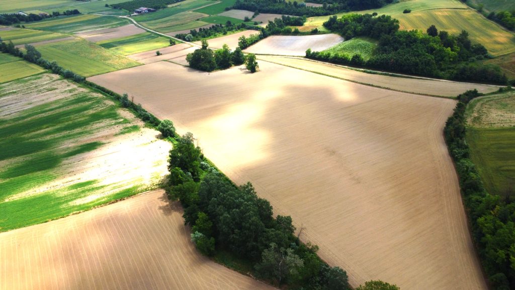 Semi-di-rinascita-Co2libri-02