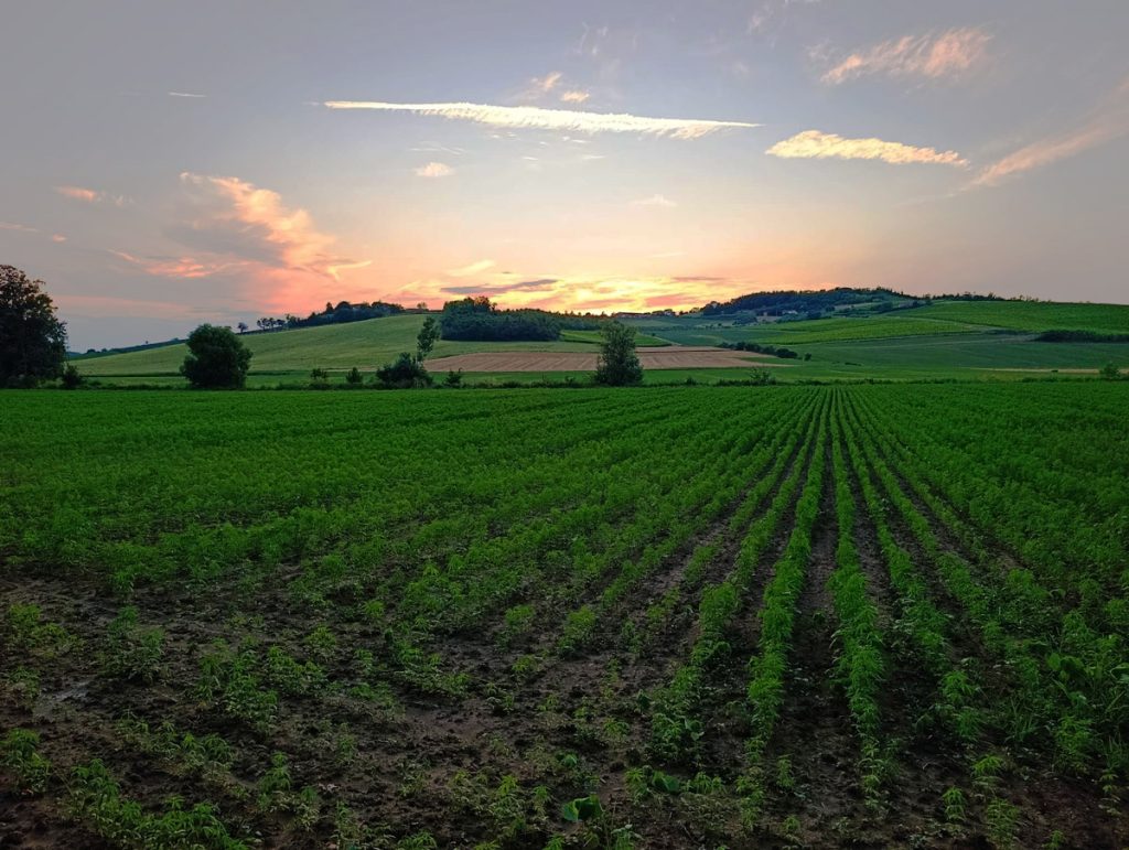 Semi-di-rinascita-Co2libri-06