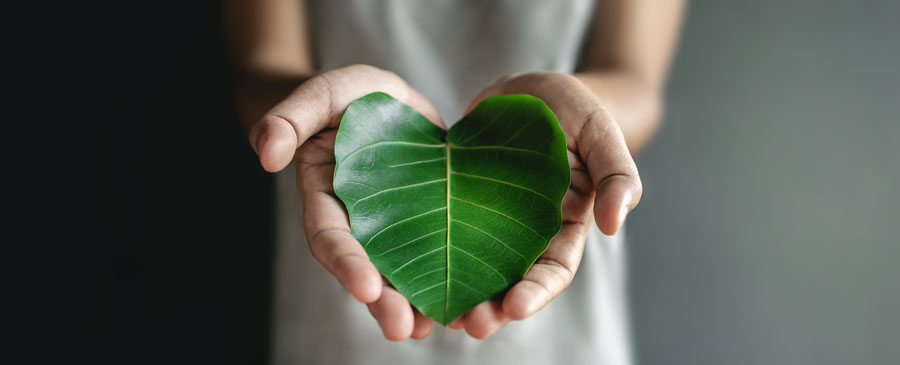 003-Dalla-teoria-alla-pratica-come-si-implementa-un-programma-ESG-in-azienda-e-perché-conviene-partire-proprio-dall’ambiente04