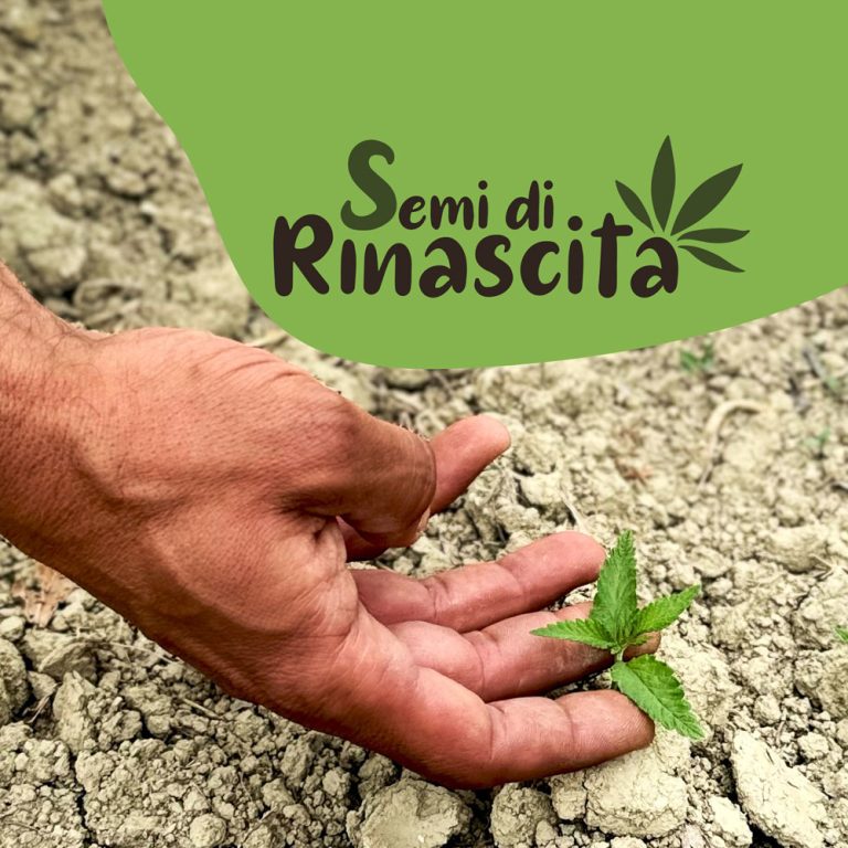 progetto-semi-di-rinasciata-cover